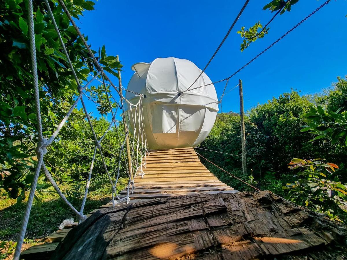 Вілла Quinta Do Abacate - Glamping Park Ангра-ду-Ероїшму Екстер'єр фото