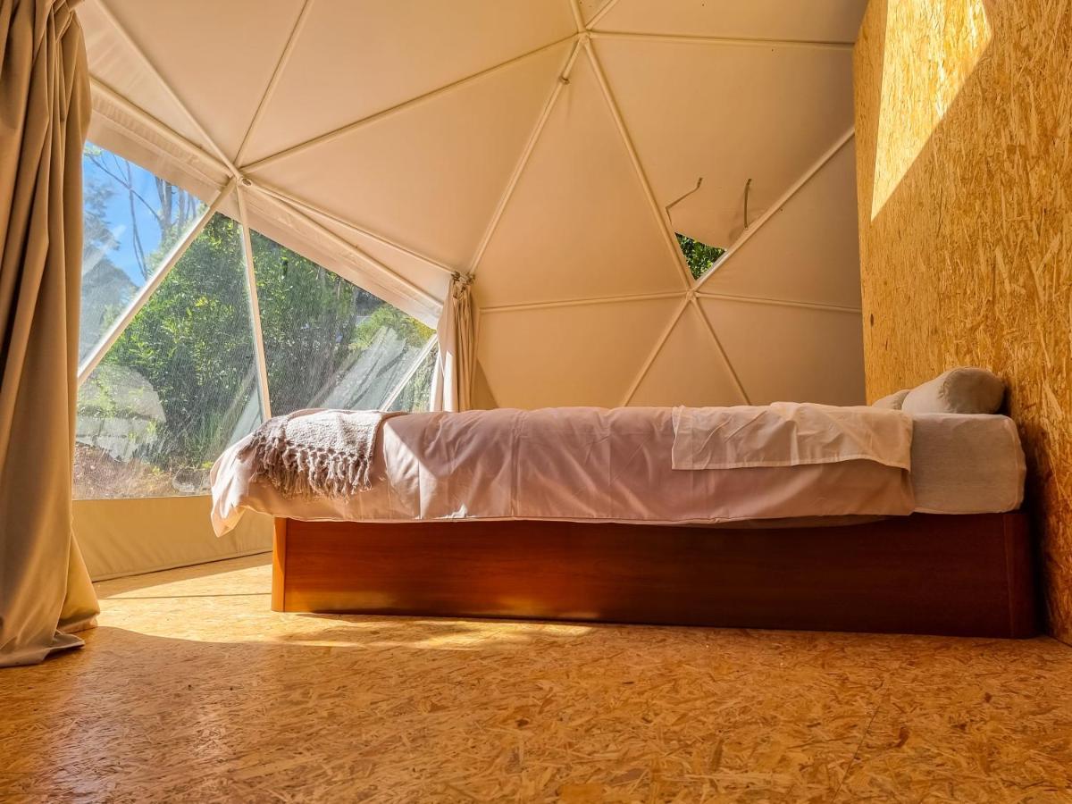 Вілла Quinta Do Abacate - Glamping Park Ангра-ду-Ероїшму Екстер'єр фото