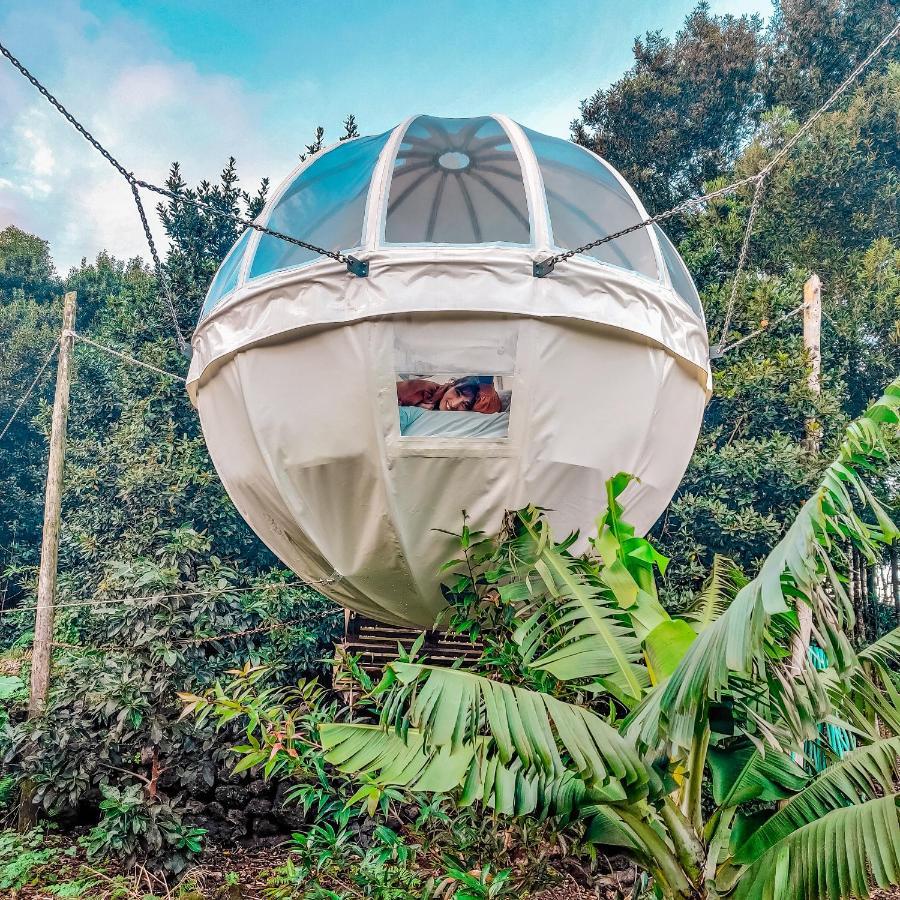 Вілла Quinta Do Abacate - Glamping Park Ангра-ду-Ероїшму Екстер'єр фото